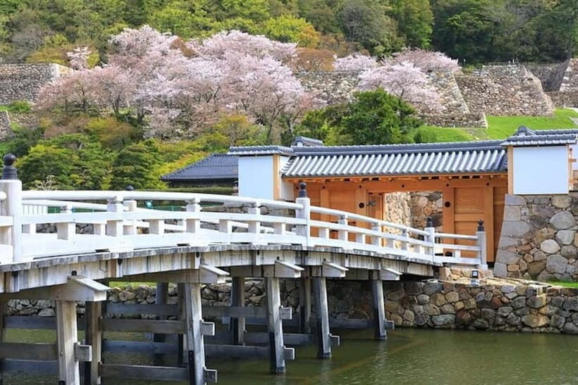 Tokyo: Pvt. Tour - Edo Castle & Imperial Palace East Gardens - Guides make the difference: pacing, explanations, and follow-up