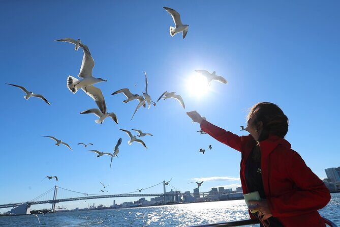 Tokyo: Scenic Bay Cruise with Local Guide on Private Boat - Meet at Tokyo Water Taxi: Getting Onboard Without Fuss