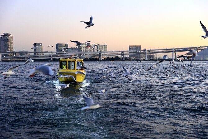 Tokyo: Scenic Bay Cruise with Local Guide on Private Boat - What’s included, what’s not, and how to pack for deck time