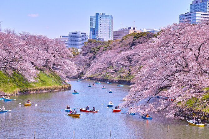 Tokyo Self-Guided Audio Tour - Building your Tokyo route: history, faith, and modern design