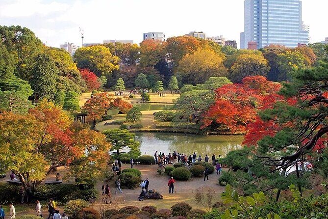 Tokyo Self-Guided Audio Tour - Stops 6 and 7: Tokyo Metropolitan Government Buildings, then Meiji Jingu’s forest calm
