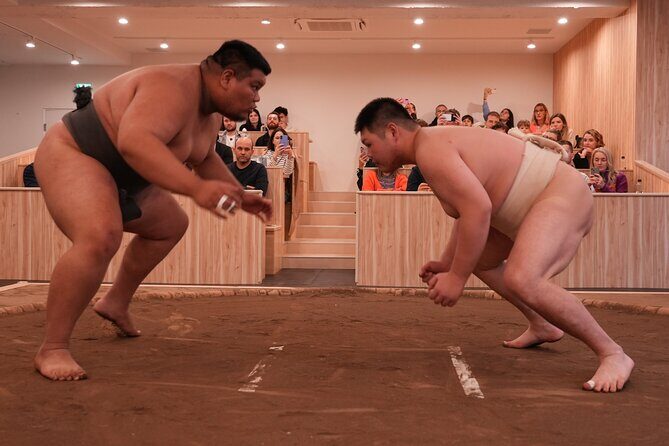 Tokyo Shinjuku Sumo Show and Experience with Drinks and Photo - Who This Sumo Show Is Perfect For