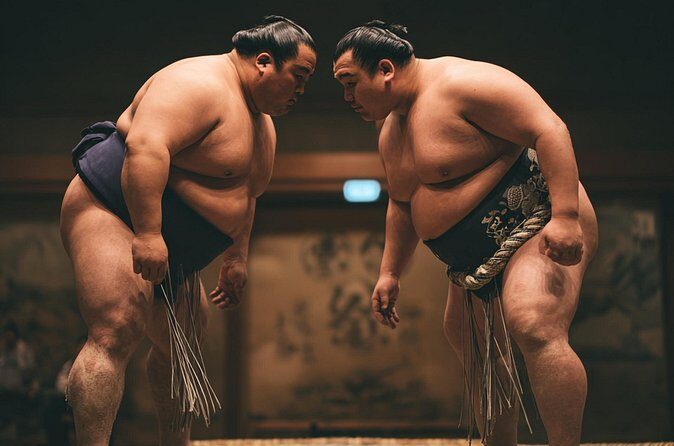 Tokyo Shinjuku Sumo Show and Experience with Drinks and Photo - Who Might Want to Rethink It