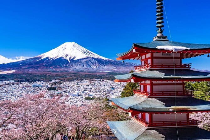 Tokyo Small Group Tour with Guide - Harajuku Station: Youth Culture Without the Headache