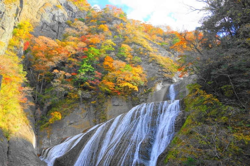 Tokyo: Spring Hitachi Seaside & Ashikaga Flower Park Tour - Transport and Route Flow: What the 11.5-to-12.5 Hours Feels Like