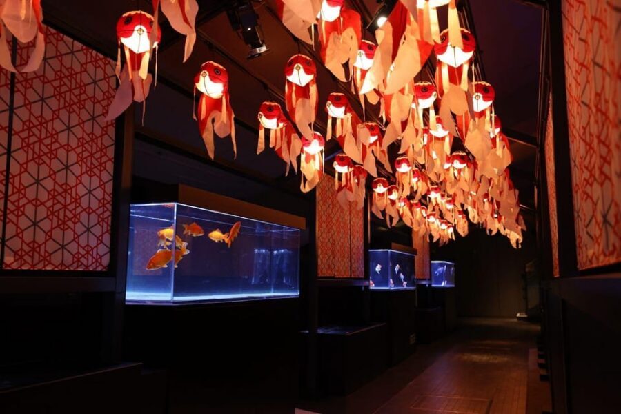 Tokyo: Sumida Aquarium Entry Ticket - Your 1-Day Self-Guided Flow: How to Plan Without Feeling Lost