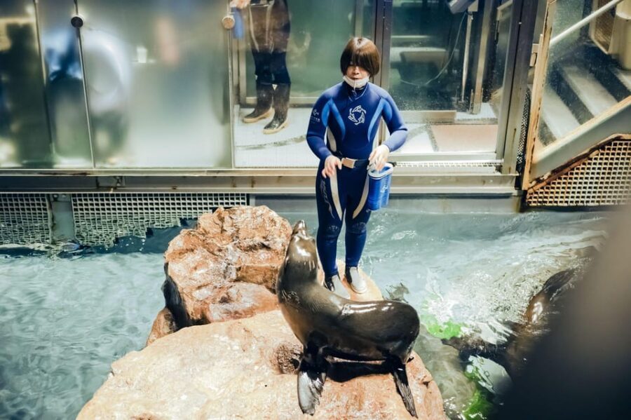 Tokyo: Sumida Aquarium Entry Ticket - Price Value: Why $17 Can Feel Like a Lot Here