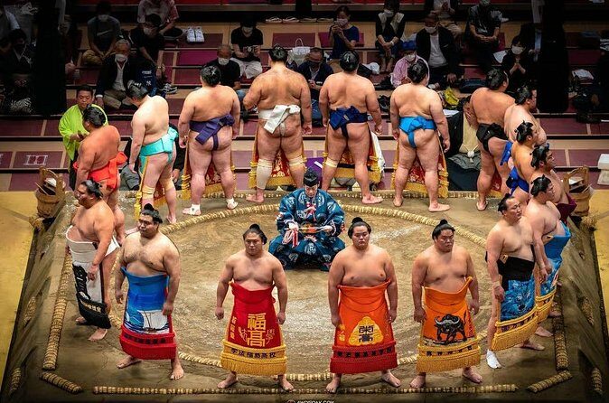 Tokyo Sumo History Tour with Chanko Nabe Lunch - Museum Day vs. Stable Day: Seeing Sumo Up Close
