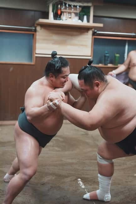 Tokyo: Sumo Keiko Training Tour with Audio Guide & Photo - Price and Value: Is $85 Worth It?
