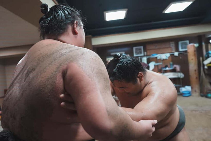 Tokyo: Sumo Keiko Training Tour with Audio Guide & Photo - Who This Tour Fits Best