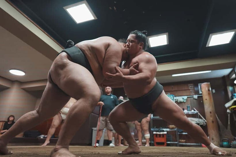 Tokyo: Sumo Keiko Training Tour with Audio Guide & Photo - What You Actually Watch During Keiko Training
