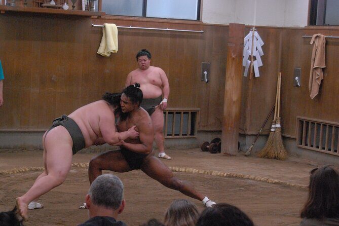 Tokyo: Sumo Morning Practice -Stable Visit Tour with a Guide - Photos with rikishi and a Q&A moment that makes it click