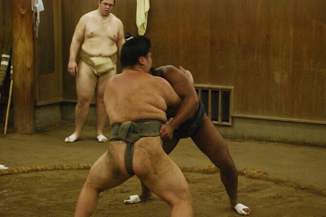 Tokyo: Sumo Morning Practice -Stable Visit Tour with a Guide - Price and value: is $82 worth it for sumo in Tokyo?
