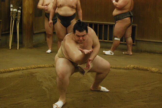 Tokyo: Sumo Morning Practice -Stable Visit Tour with a Guide - Should you book this Tokyo sumo morning practice?