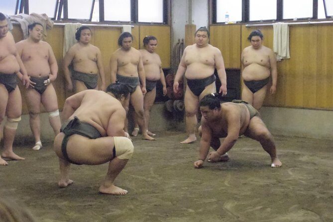 Tokyo Sumo Morning Practice Tour at Stable - Stop 1 at Ryogoku Station Gallery: A Short Brief That Pays Off