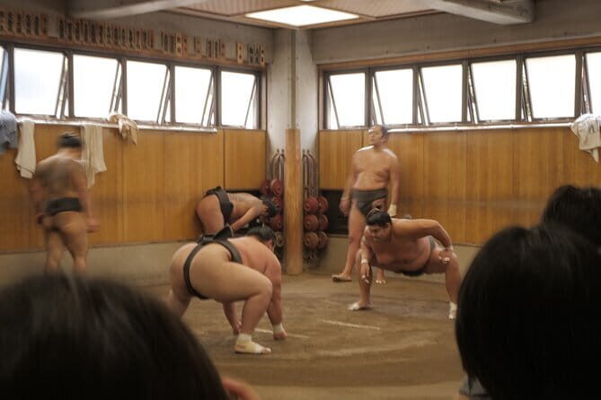 Tokyo Sumo Morning Practice Tour w/ Ring-Side Seat + Photo Shoot - Inside the stable: what you actually see in 90 minutes