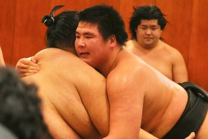 Tokyo Sumo Morning Practice: Viewing & Exclusive Interaction - Key Highlights You’ll Notice Right Away