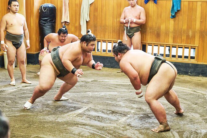 Tokyo: Sumo Morning Practice Viewing Tour at a Real Stable - Key Highlights You’ll Actually Notice