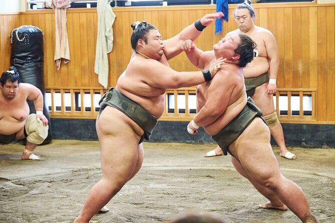 Tokyo: Sumo Morning Practice Viewing Tour at a Real Stable - Morning Sumo Practice at a Real Stable: Not a Performance