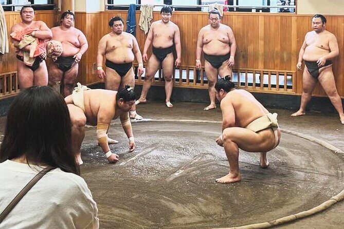 Tokyo: Sumo Morning Practice Viewing Tour at a Real Stable - What Happens During the 1.5 Hours of Training Observation