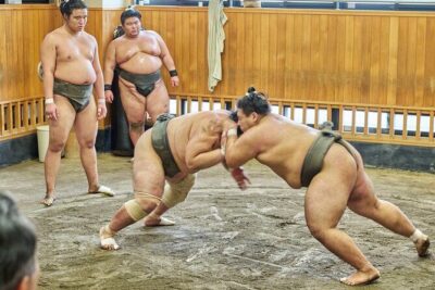 Tokyo: Sumo Morning Practice Viewing Tour at a Real Stable - The Morning Session: What You’ll Actually See and How Long It Runs