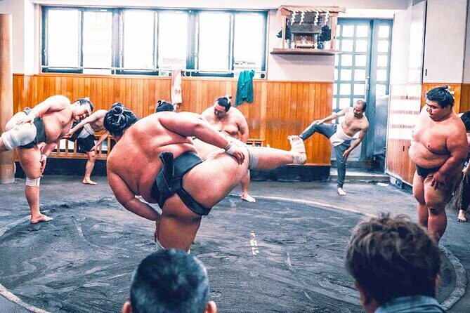 Tokyo: Sumo Morning Practice Viewing Tour at a Real Stable - Getting Meaning From Sumo: Rules and Rituals in Plain Language
