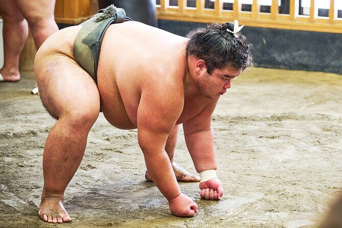 Tokyo: Sumo Morning Practice Viewing Tour at a Real Stable - Photo Opportunities Without Turning It Into a Circus