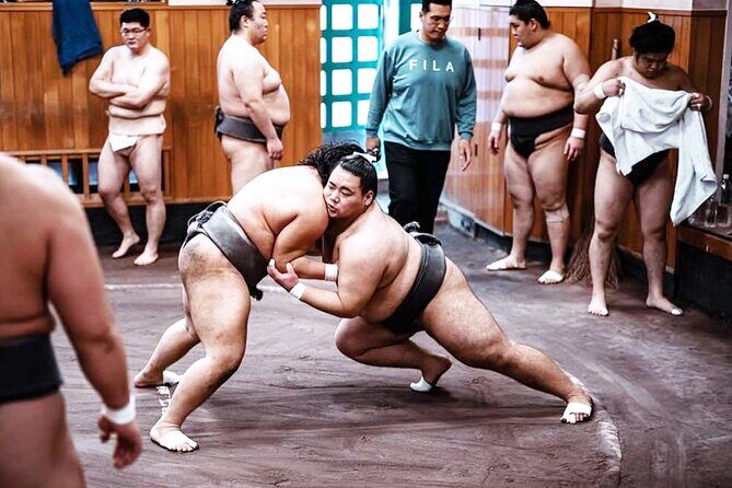 Tokyo: Sumo Morning Practice Viewing Tour at a Real Stable - Group Size, Timing, and Why Those Details Matter