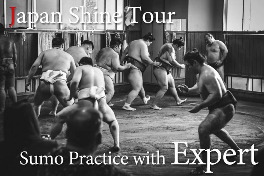 Tokyo: Sumo Morning Practice with journalists. Not fake show - Takasago-beya Sumo Stable: 2 hours of rituals and work you can actually see