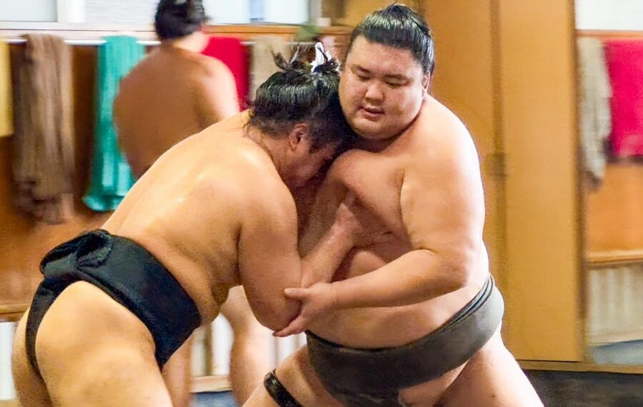 Tokyo: Sumo Morning Practice with journalists. Not fake show - Timing and meeting point: the day runs tight, so start ready