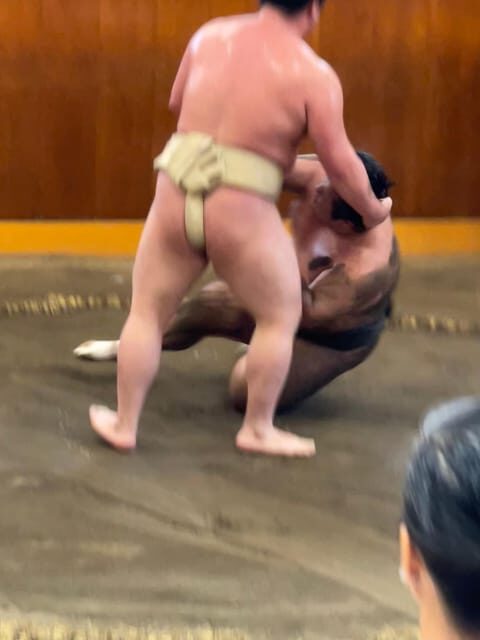 Tokyo: Sumo Morning Practice with Photo Banzuke and Guide - The short start: a quick guided setup before the action