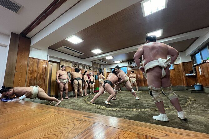 Tokyo Sumo Morning Training/ Sumo Practice with Wrestlers - Meeting Point and Timing: How to Avoid the Most Common Mistake