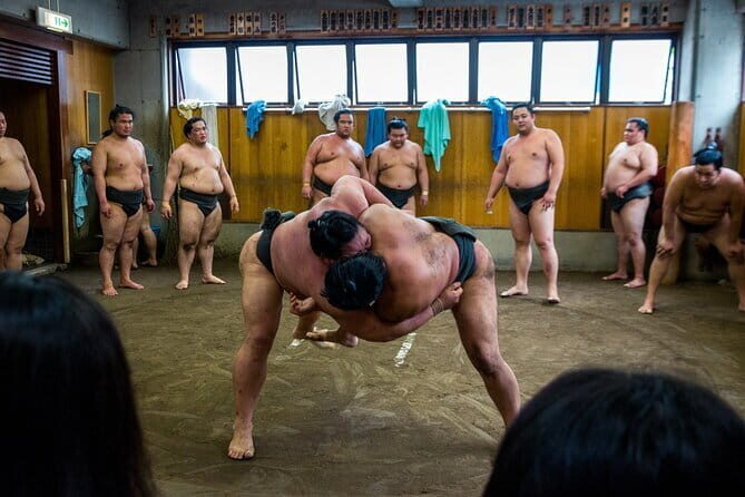 Tokyo Sumo Practice Watching & Visit Town from Samurai era - Kiyosumi Teien: A Quiet Walking Forest After the Ring