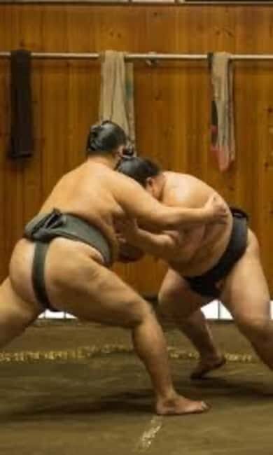 Tokyo: Sumo Show and Experience in Shinjuku - The dohyo moment: wearing the outfit and challenging a wrestler