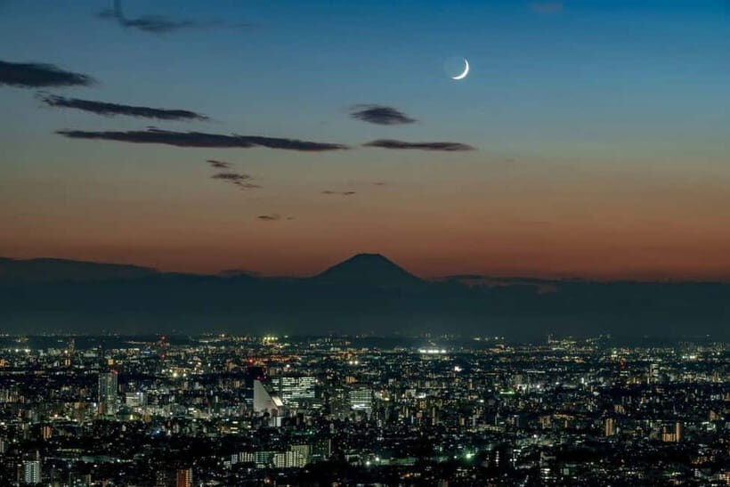 Tokyo: Sunshine 60 Observatory Tenbou Park Entry Ticket - The view from 251 meters: day vs night strategy