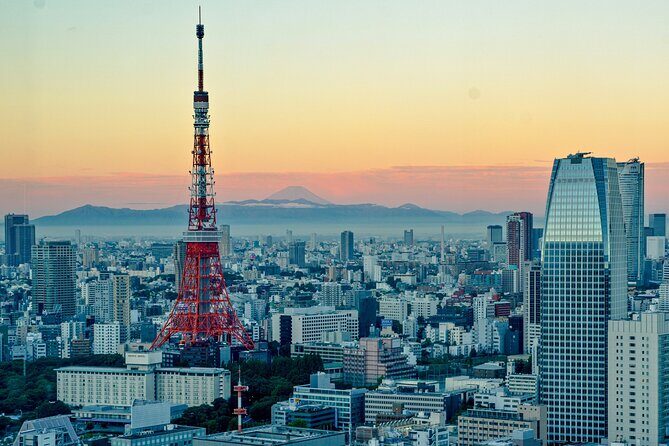 Tokyo Tailored 4 Hours Private Guided Tour - Key Takeaways Before You Go