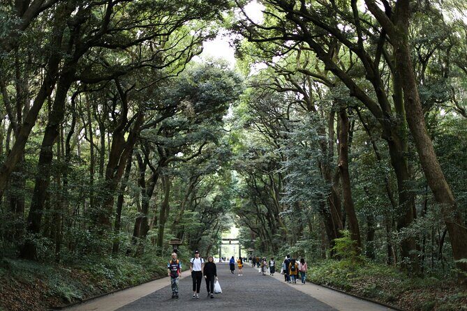 Tokyo Tailored 4 Hours Private Guided Tour - How “Tailored” Works in Just 4 Hours
