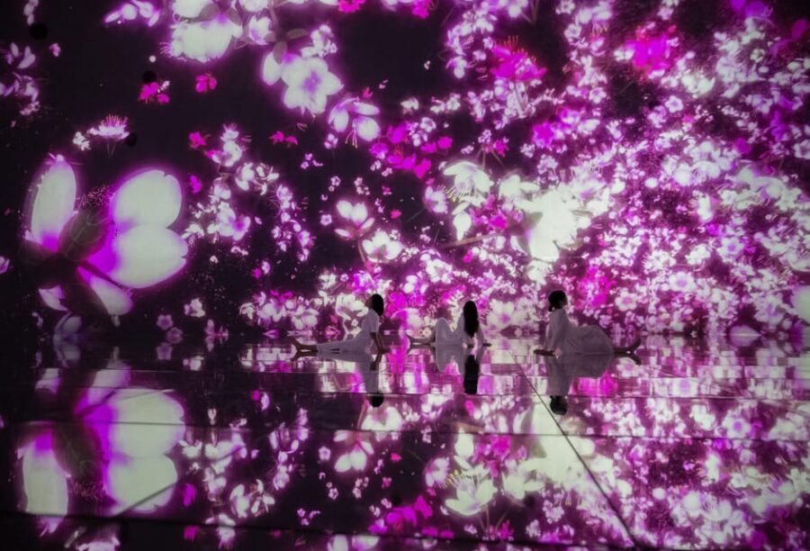 Tokyo: teamLab Planets TOKYO Digital Art Museum Entry Ticket - Should You Book teamLab Planets TOKYO?