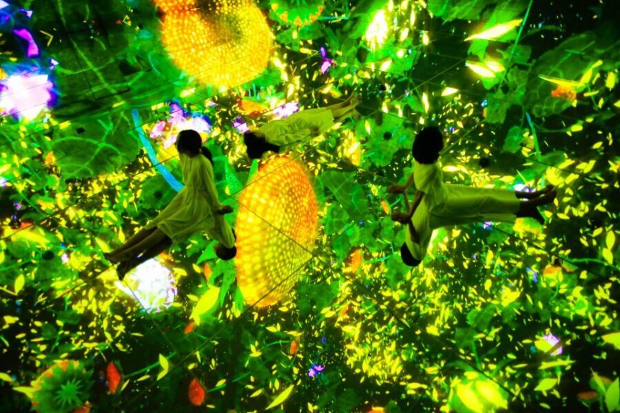 Tokyo: teamLab Planets TOKYO Digital Art Museum Entry Ticket - The Rooms People Talk About: Water, Flowers, and Orchids
