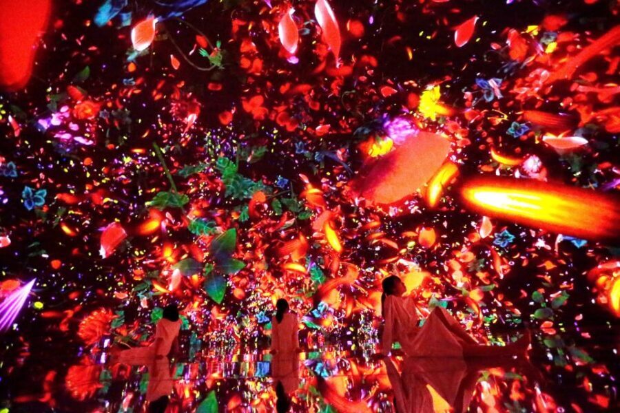 Tokyo: teamLab Planets TOKYO Digital Art Museum Entry Ticket - Practical Stuff to Make Your Visit Go Smooth