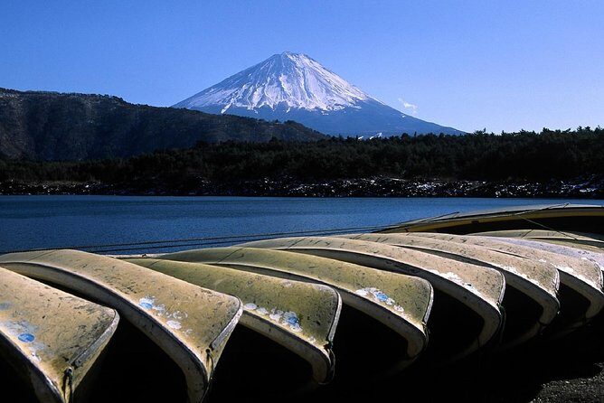 Tokyo to Hakone | Private and Personalized Day Trip with a Local - A private Hakone day with a local driver, not a fixed script