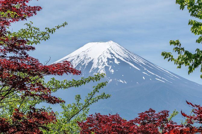Tokyo to Hakone | Private and Personalized Day Trip with a Local - Hakone Shrine’s red torii gate: more than a photo stop