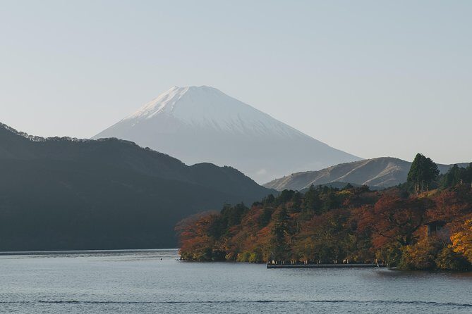 Tokyo to Hakone | Private and Personalized Day Trip with a Local - Getting there from Shinjuku: Romancecar makes it feel easier