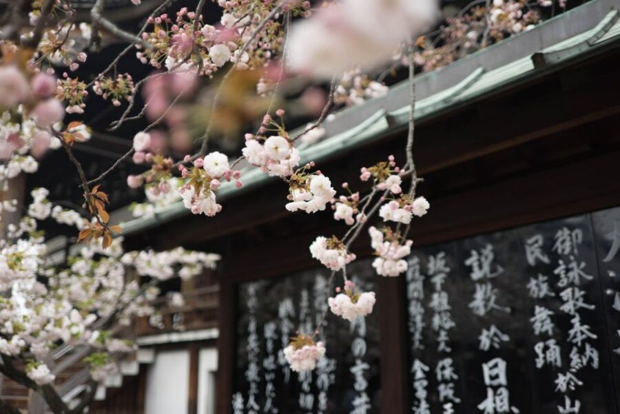 Tokyo to Kawagoe: Private Historical Day Trip - Penny Candy Lane and Kurazukuri Street: sweets, crafts, and the “old town” feel