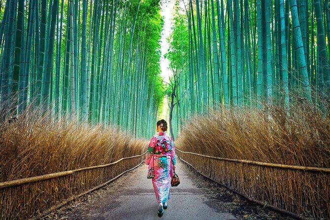 Tokyo to Kyoto 1-Full Day Private Guided Tour - Price Reality Check: Tour Fee vs Bullet Train vs Car in Yen