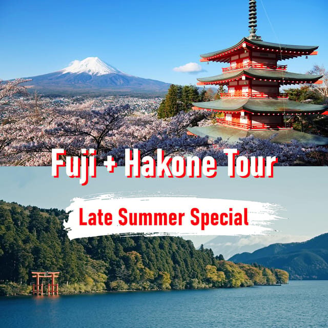 Tokyo to Mount Fuji and Hakone: Private Full-Day Tour - Key highlights to know before you go