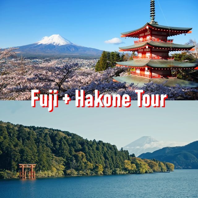 Tokyo to Mount Fuji and Hakone: Private Full-Day Tour - Lunch in Hakone: planning for food when admission isn’t the point
