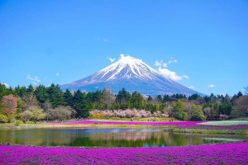 Tokyo To Mount FUJI Day Trip With English guide - How Private Transport and English Guidance Make Fuji Day Trips Work