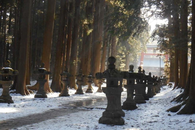 Tokyo To Mount FUJI Day Trip With English guide - Fuji Subaru Line 5th Station: High-Altitude Air Around 2,300 Meters