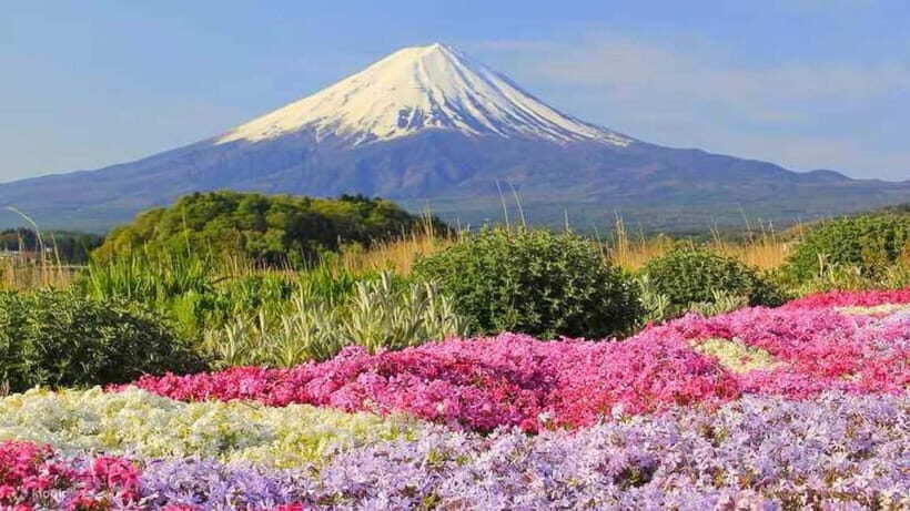 Tokyo To Mount FUJI Day Trip With English guide - Gotemba Premium Outlets and the Hakone Photo Stop: A Necessary Real-World Break